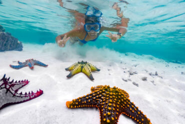 Adult female snorkeler showing a peace sign while swimming above tropical starfish in Zanzibar waters during a Mnemba Atoll snorkeling tour