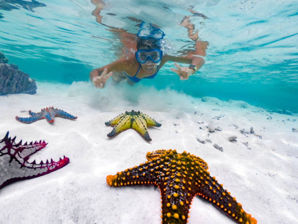 Adult female snorkeler showing a peace sign while swimming above tropical starfish in Zanzibar waters during a Mnemba Atoll snorkeling tour