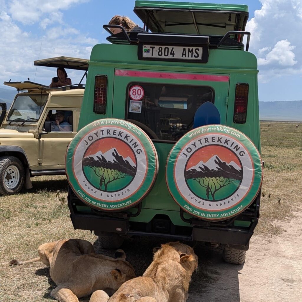6-Day Serengeti Drive-In Safari Cost – 4x4 safari vehicle in Serengeti