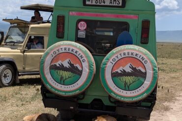 How Much Does a Tanzania Safari Cost?: Female traveler on a Tanzania safari watching lions resting near a safari jeep in Serengeti National Park