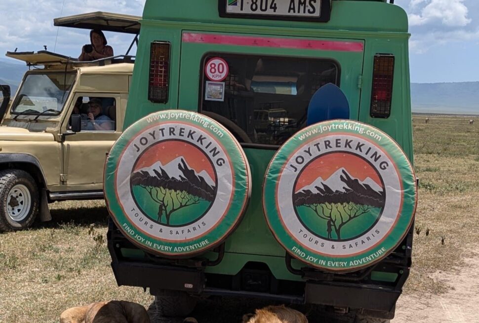 How Much Does a Tanzania Safari Cost?: Female traveler on a Tanzania safari watching lions resting near a safari jeep in Serengeti National Park