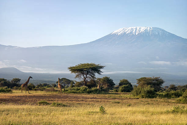 Tanzania Safari and Kilimanjaro Trekking Packages: Mount Kilimanjaro Tanzania snow capped mountain on safari in Africa with cloudy blue skies and African savannah landscape