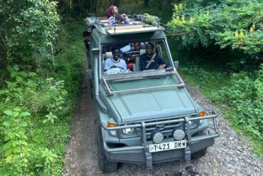 Best pre-climb activities in Arusha featuring guests enjoying a game drive before climbing Mount Kilimanjaro