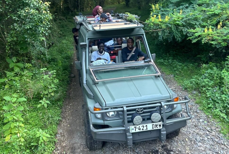 Best pre-climb activities in Arusha featuring guests enjoying a game drive before climbing Mount Kilimanjaro