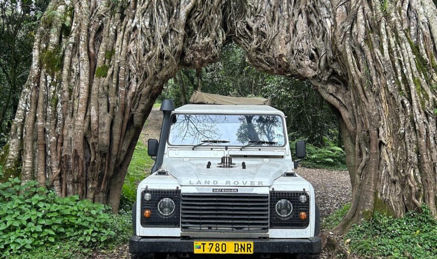Tanzania Day Trips: The Complete Guide to the Best One-Day Tours from Arusha (2026)