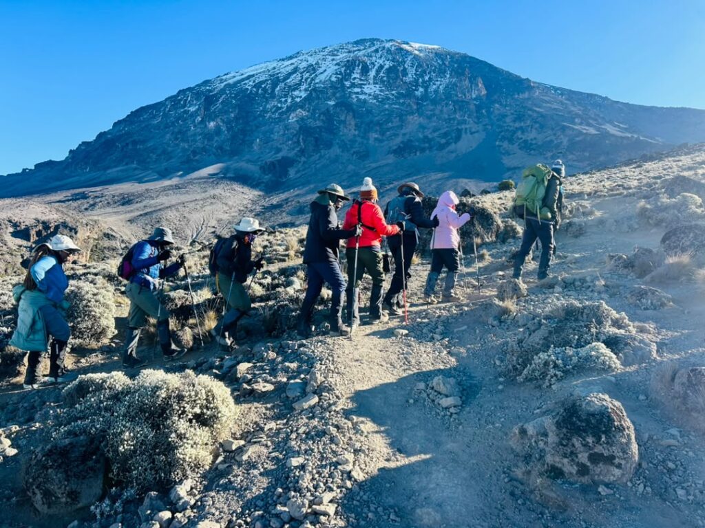 Kilimanjaro and Tanzania safari cost – American women hiking on Mount Kilimanjaro during the Lemosho Route climb with professional mountain guides.