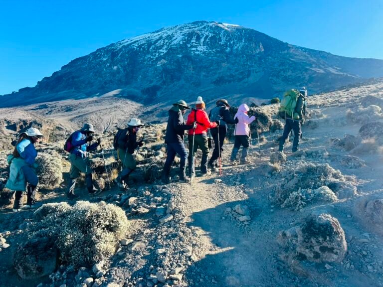 Kilimanjaro and Tanzania safari cost – American women hiking on Mount Kilimanjaro during the Lemosho Route climb with professional mountain guides.