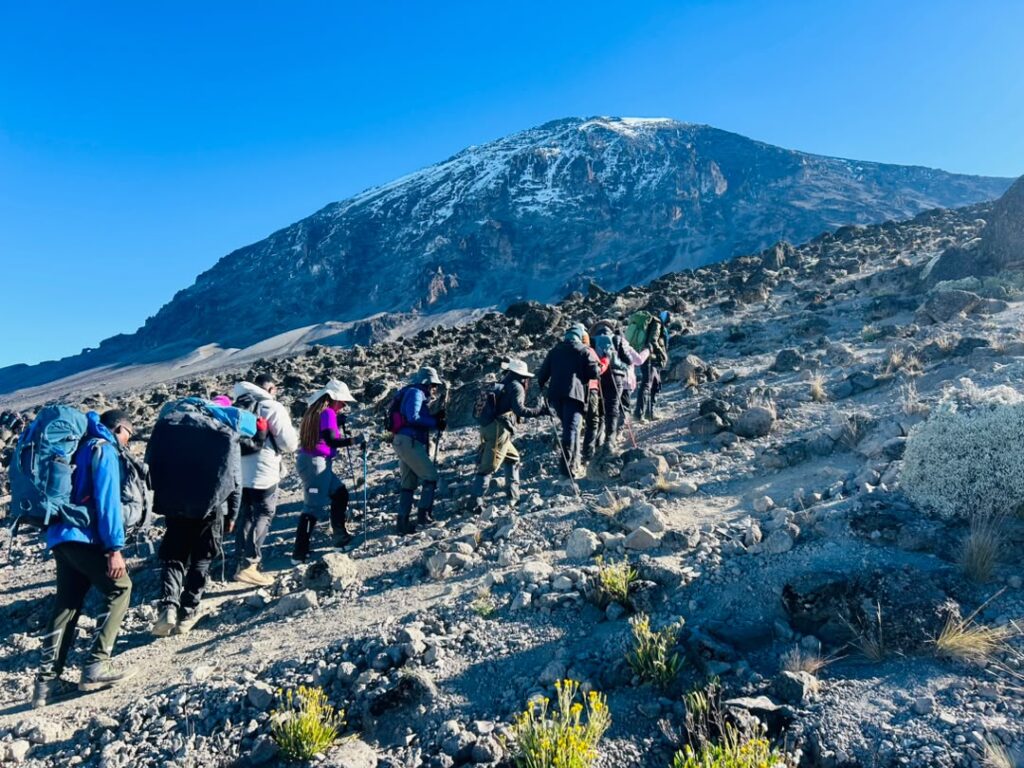 Trekkers hiking in a line on Mount Kilimanjaro during a multi-day trek