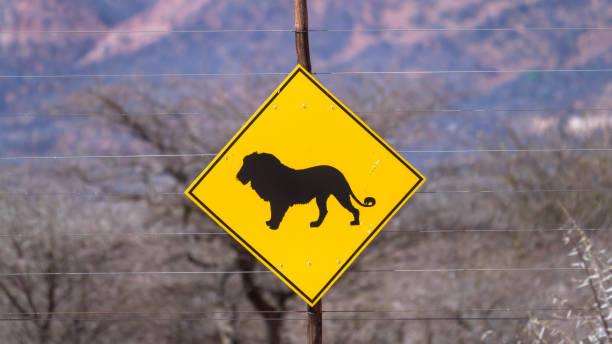 Tanzania Safari Safety Guide road sign warning travelers about lions in a wildlife area