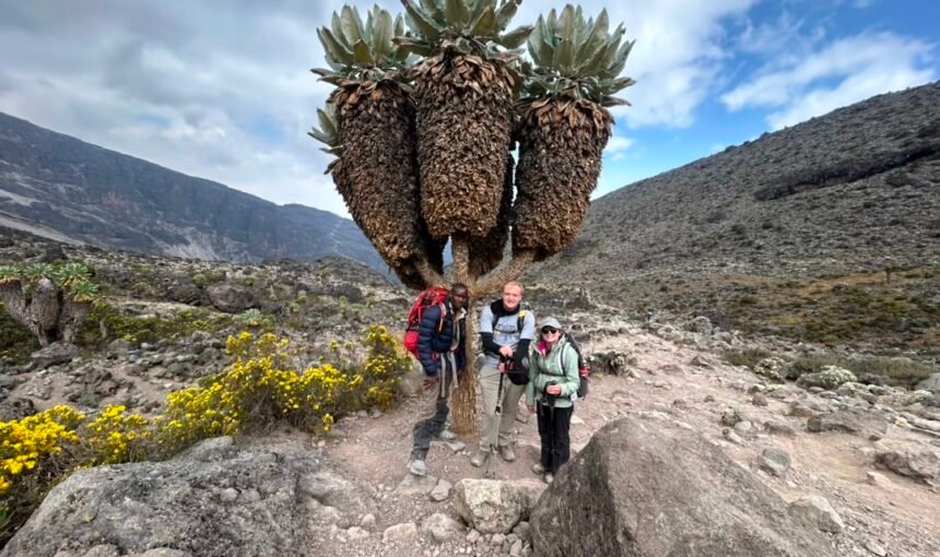 7-Day Machame Route Cost 2026–2027: Prices, Inclusions & Kilimanjaro Trek Guide