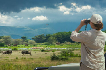 Tanzania Safari Guide Selection experience with a professional guide leading a woman on a wildlife safari in Lake Manyara National Park