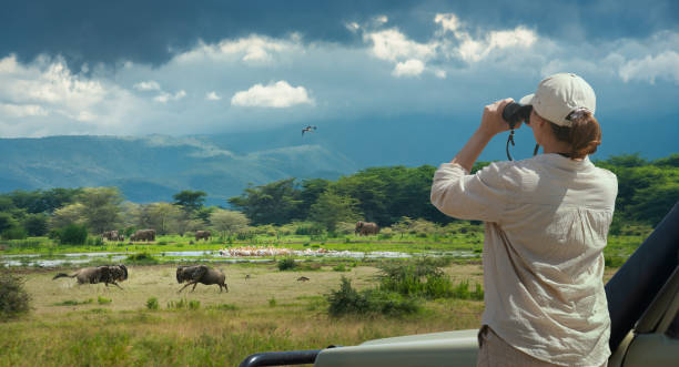 Tanzania Safari Guide Selection experience with a professional guide leading a woman on a wildlife safari in Lake Manyara National Park