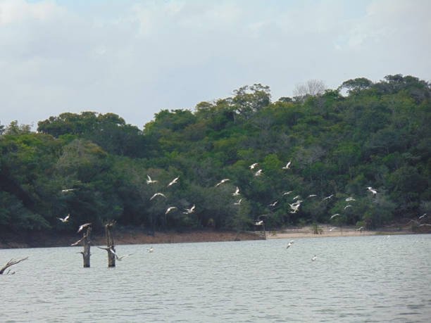 Lake Chala Day Trip – Natural Beauty and Birdwatching