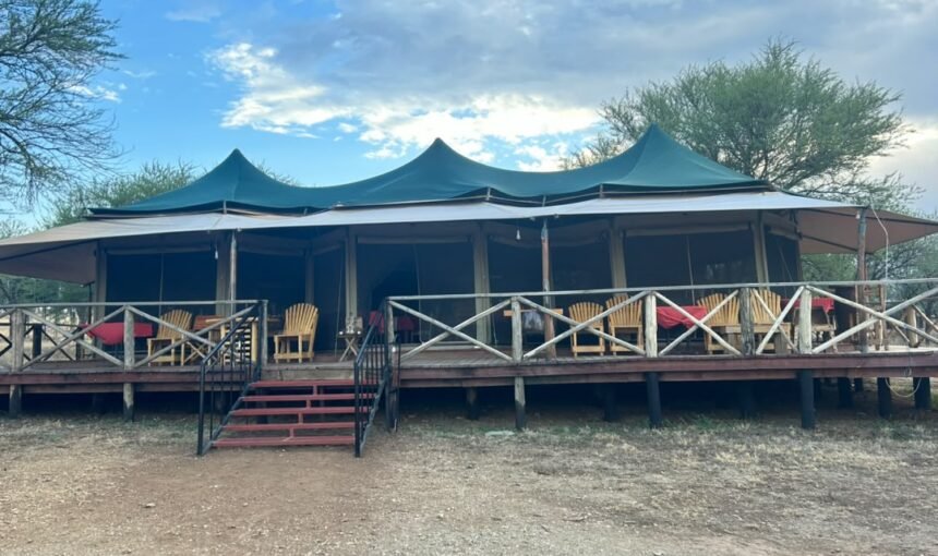 Safari Lodge vs Tented Camp Tanzania: Which Is Better for Your Safari? (2026-2027)