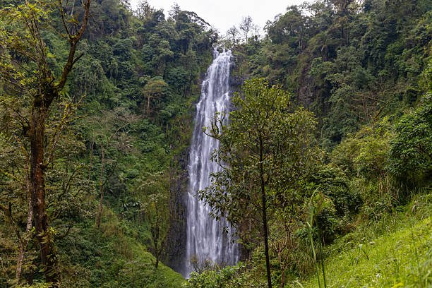 Materuni Waterfalls near Moshi, Tanzania