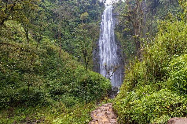 Materuni Waterfalls near Moshi, Tanzania