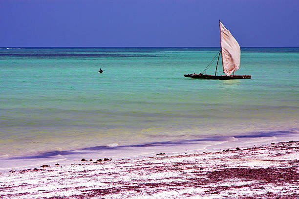 Boat excursion along Zanzibar's blue lagoon and tropical coastline