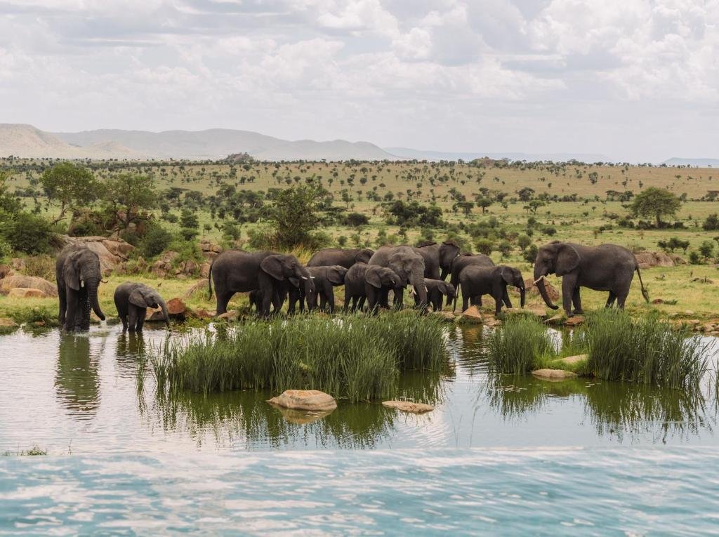 African savannah landscape representing a Serengeti luxury safari
