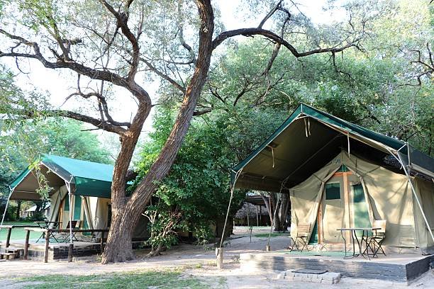 Musabi Tented Camp in Western Serengeti Tanzania