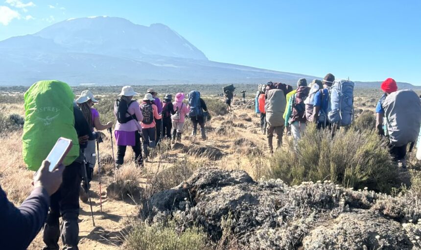 Tanzania Mt Kilimanjaro Climb: Routes, Costs & Expert Tips (2026/2027)