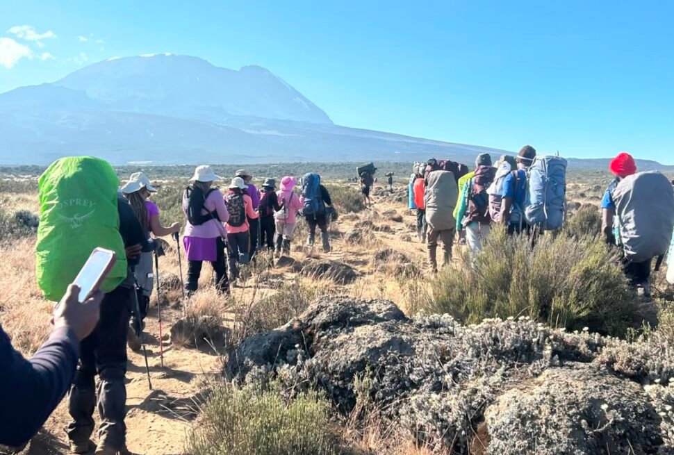 Group of trekkers and porters climbing Mount Kilimanjaro in Tanzania