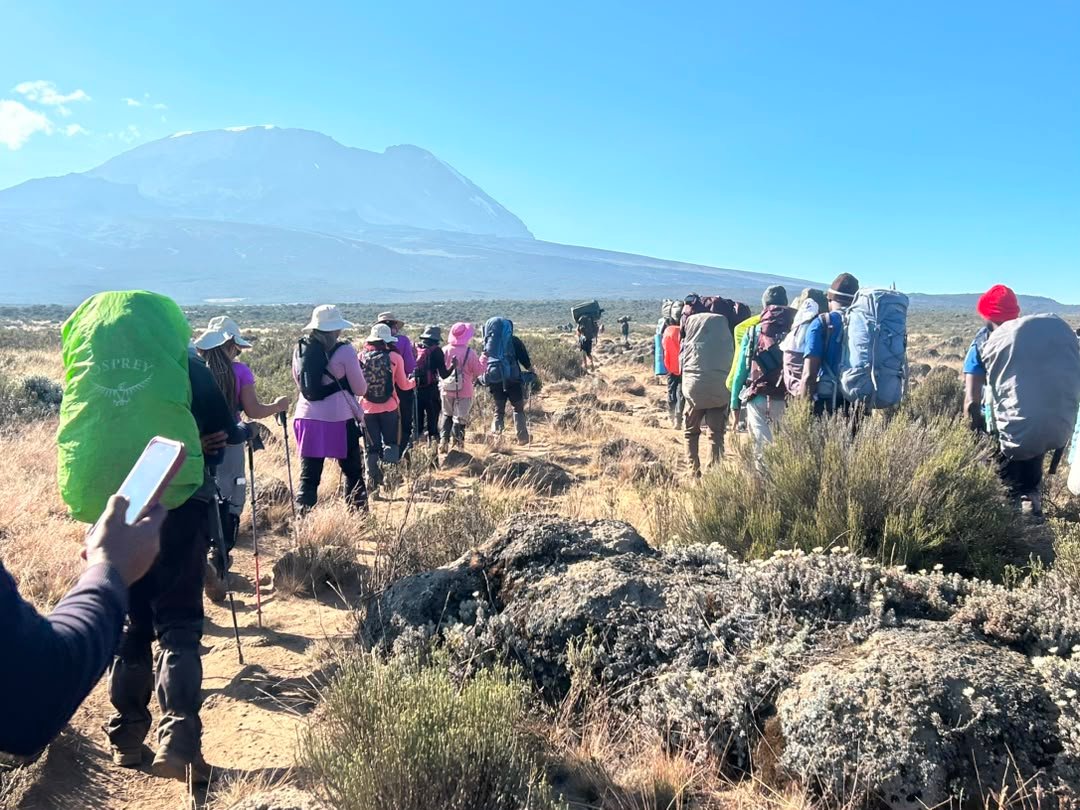 Group of trekkers and porters climbing Mount Kilimanjaro in Tanzania