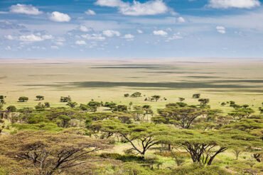 Vast plains of Serengeti National Park Tanzania