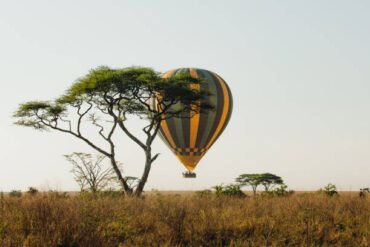Hot air balloon flying over the Serengeti National Park landscape at sunrise