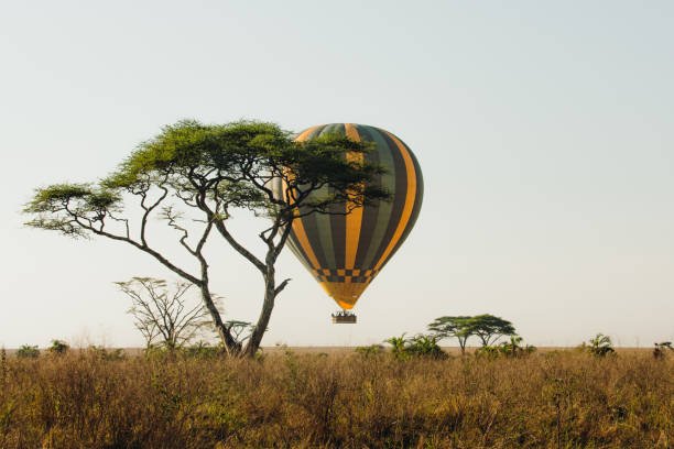 Hot air balloon flying over the Serengeti National Park landscape at sunrise