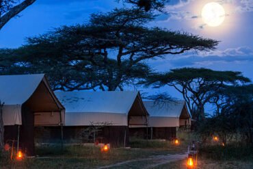Tent camps in Serengeti National Park Tanzania