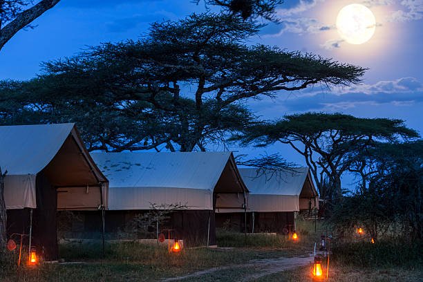 Tent camps in Serengeti National Park Tanzania