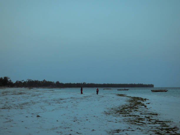 Zanzibar eastern white sand beach on the Indian Ocean coast